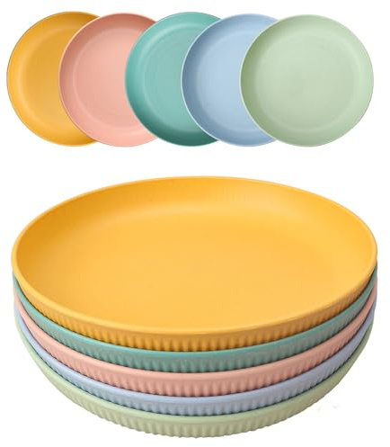 HQCM 5 piatti da campeggio riutilizzabili, 23 cm, grandi piatti in plastica rigida compatta, infrangibili, lavabili in lavastoviglie, per feste, casa, viaggi, colorati