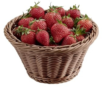 APS 40191 Korb ECONOMIC, Brotkorb, Obstkorb, Ø 19 cm, Höhe 9,5 cm, Polypropylen, braun