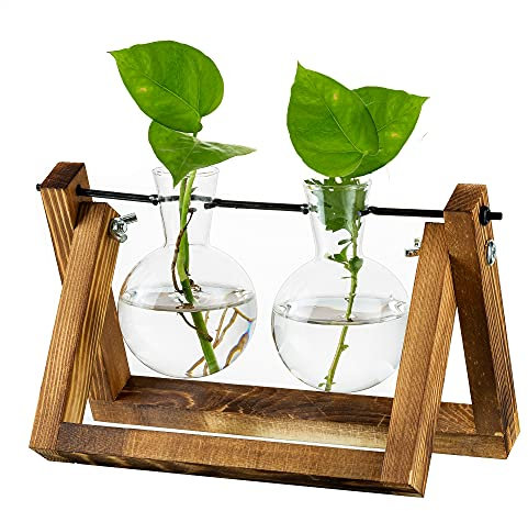Station De Propagation Pour Plantes Amélioration De La Jardinière De Vase À Ampoule Avec Support En Bois Pot De Plante En Verre Intérieur Pour La Décoration De La Pièce Maîtresse De Table Accessoires