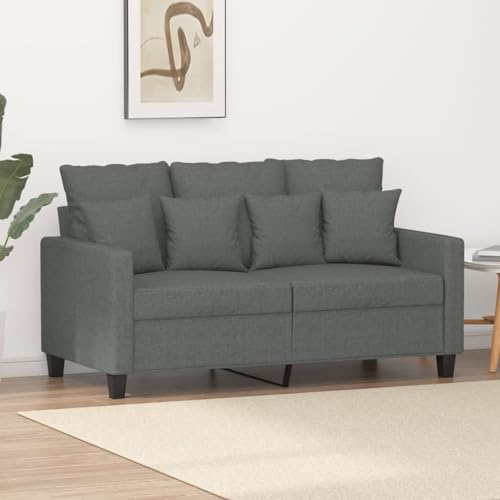 SECOLI 2-Sitzer Sofa Stoff Couch Klein für Wohnzimmer/Schlafzimmer/Büro/Wohnung - Dunkelgrau - 120cm