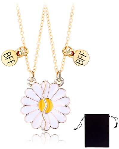 AIYVELU 2 Stück Silber Gänseblümchen Halskette Set, Frauen Freundschaft Schmuck, Blumen Anhänger, Mode-Schmuck, Geschenk für BFF und beste Freunde