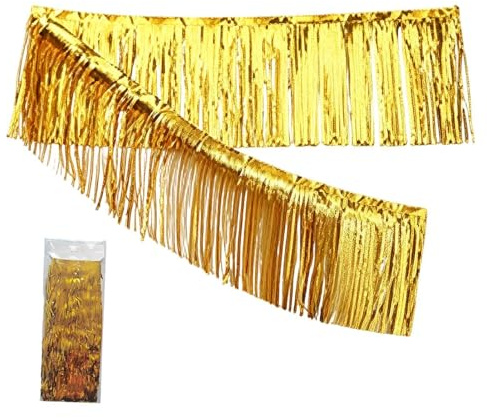 Generico Ghirlanda di Frange | Sfondo Party 30x300 cm, Addobbo per Feste - Banner luccicante in Lametta | per Carri Allegorici Addio al Nubilato Matrimonio Compleanno Laurea Vacanza