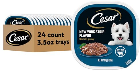 Cesar Filets in Gravy Adult Wet Dog Food New York Strip Flavor, 3.5 oz. Easy Peel Dog Food Tray, 24 Count (Pack of 1)