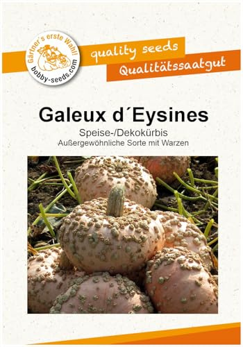 Galeux d Eysines Kürbissamen von Bobby-Seeds, Portion
