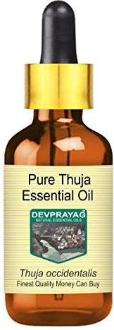 Devprayag Pure Thuja Essential Oil (Thuja occidentalis) with Glass Dropper Natural Therapeutic Grade Steam Distilled 10ml (0.33 oz)