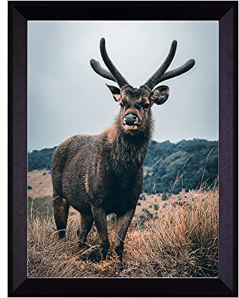 Rahmendesign24 Posterrahmen Rio 60x90 Schwarz (matt) Fotorahmen, Wechselrahmen, Bilderrahmen