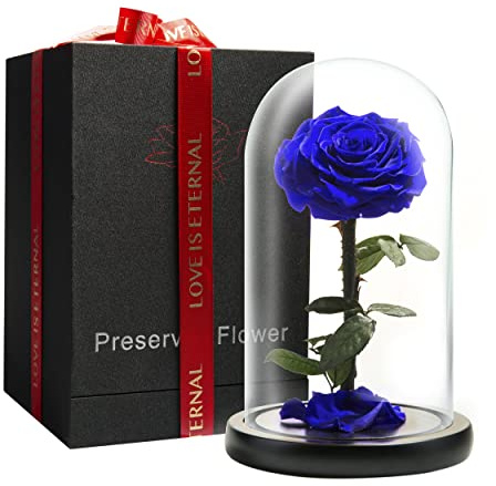 LOVAPPY Eternal Enchanted Forever Preserved Rose - Rosa dell'infinito in Cupola di Vetro - Realizzata con Vera Rosa Fresca di Bellezza - Regali romantici per Donne - San Valentino - Regalo per la