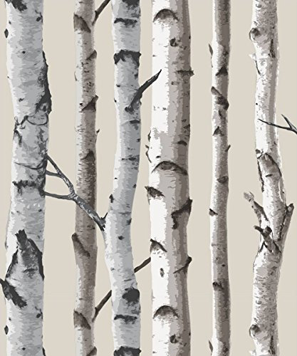 Brewster FD31051 Birch Tree Wallpaper - Natural