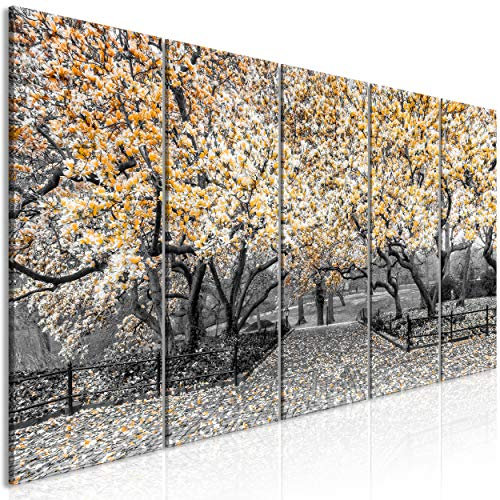 decomonkey Bilder Blumen Magnolie 100x40 cm 5 Teilig Leinwandbilder Bild auf Leinwand Wandbild Kunstdruck Wanddeko Wand Wohnzimmer Wanddekoration Deko Baum Natur