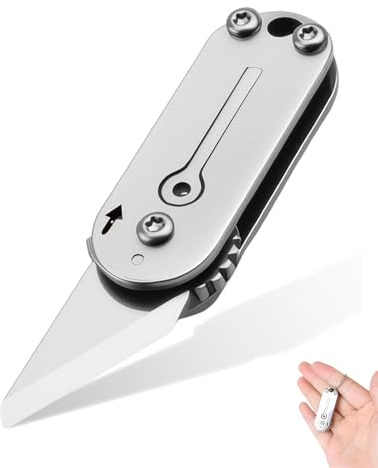 TOZBLEU Mini Coltello Portachiavi Pieghevole Tascabile in Acciaio Inossidabile, Taglierino Tascabile per Campeggio Escursionismo Sopravvivenza, Regalo Unisex Utensile di Emergenza