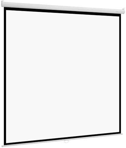 VEVOR Manuell projektionsskärm, 3048 mm, 1:1 4K, 1080 HD, väggprojektorduk, indragbar med dragkabel, utökad synvinkel, för hemmabio, kontor, klassrum