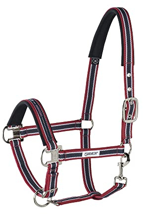 Eskadron Standard Halfter PIN Buckle