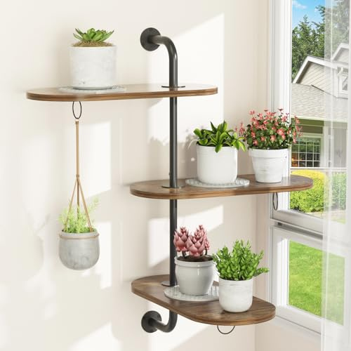 VyGrow Plant Stand 3 Tier, Plant Stand Indoor Outdoor Wooden Window Plant Shelf with 3 Circle Hook, 3 Anti-slip Mats, Hanging Plant Shelf for Window, Plants, Flowerpots