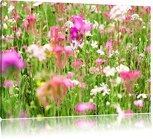 Pixxprint Wundervolle Blumenwiese, Größe: 120x80cm, Leinwandbild, fertig gespannt, Wandbild, Dekoration, Kunstdruck, kein Poster