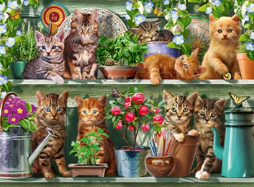 Ravensburger - Puzzle 500 Pezzi Gatti Sullo Scaffale | Puzzle Per Adulti 500 Pezzi | Puzzle Adulti Per Bambini Dai 14 Anni In Su | Regalo Compleanno Per Bambini Dai 14 Anni In Su | Misure 49x36cm