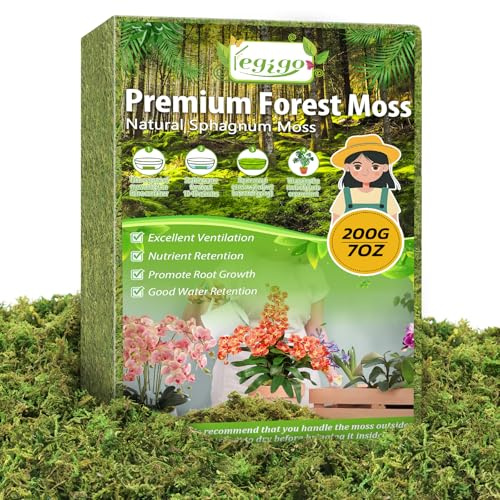 Legigo 7 OZ Green Moss for Plants Indoor, Crafts Moss for Artificial Plants, Decorative Dried Moss Forest Moss for Fake Potted Plants, Fairy Garden, Table Centerpieces and Terrarium Decor