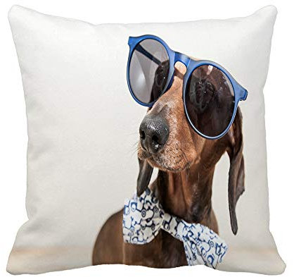 Dekokissen Kissenbezüge 45X45cm, Rote Dackel-Hunde-Sonnenbrille, Fliege, Schals, Taschentücher Resistent Kissenbezug Superweicher Kissenhüllen Für Dekoration Weihnachten Sofa