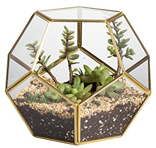 NCYP No Door Glass Terrarium for Small Cactus, Succulents - Gold Geometric Terrarium Pot, Home Office Tabletop Miniature Garden Decor, 6.8 x 6.8 x 5.9 Inches, Handmade (No Plants)