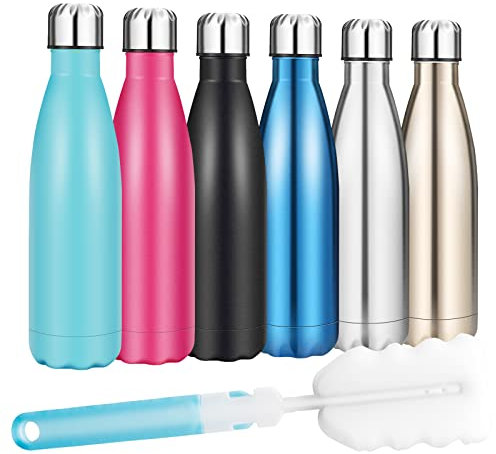 Insulated Water Bottle, Vacuum Stainless Steel & Vacuum Flask Comes with a Cleaning Brush -500ml Stainless Steel Vacuum Bottle, Double Wall Design, Standard Mouth, for Outdoor Sports