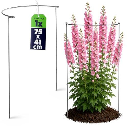 KADAX Pflanzenhalter 75cm, Stabiler Staudenhalter, halbrunde Pflanzenstütze aus Stahl, solide Strauchstütze für Rosen, Buschstütze, Rankengewächs, Blumenstütze, Staudenstütze