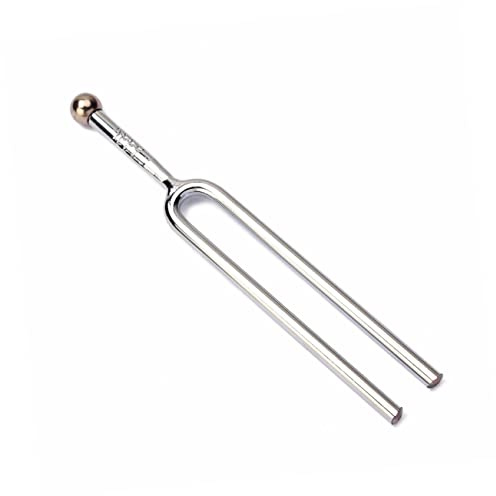R41 A440 440hz Stimmgabel aus Metall mit Shell Case | Gitarren und Saiteninstrumente, Silberfarben, Langer Klang mit Klarem Ton, für Zuhause und Unterwegs
