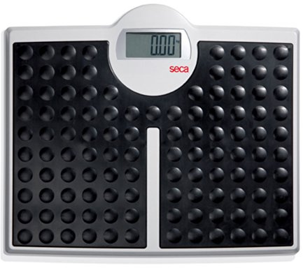 seca 813 - High Capacity Digital Flat Scale for Individual Patient use