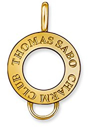Thomas Sabo Damen-Bandring mit Ringgröße 50 (15.9) X0184-413-12