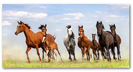 Tulup Leinwandbild - Wandkunst - Drucke auf Leinwand - Leinwanddruck -120x60 cm - Tiere - Braun - Pferde im Galopp
