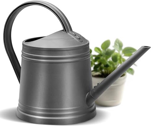 STORTRUST® Gießkanne Zimmerpflanzen - 2 Liter - Gießkanne klein in Metalloptik aus rostfreiem und stabilem Kunststoff (Anthrazit)