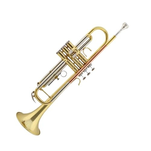 Trompeten Bb Professionelle Trompete Fortgeschrittene B Flache Trompete Fall Gold Lack Blasinstrumente Trompete