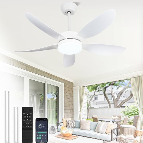 RHEAFON 42 Inch Ceiling Fans with Lights and Remote