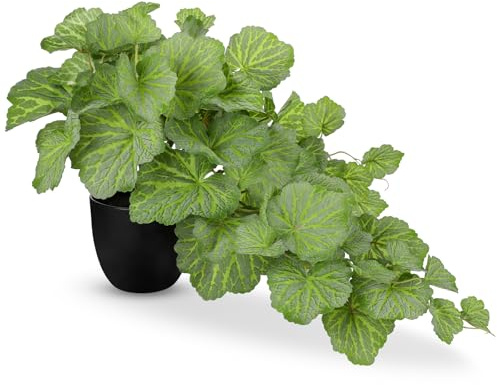 Hollyone Plantas Artificiales en Macetas Negras, Begonia Falsa Plantas Decorativas en Maceta, Planta Artificial Planta Tropical de Interior para el Hogar, Baño, Salón, Cocina, Oficina Decoración
