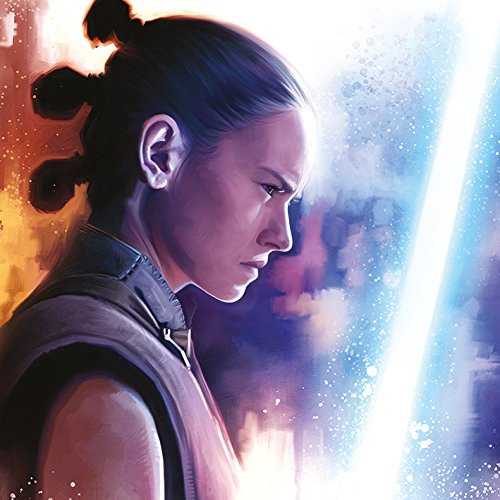 Star Wars The Last Jedi-Rey Lightsaber Paint Canvas Leinwanddruck, Mehrfarbig, 40 x 40 cm