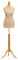Size 10/12 Female Tailors Dummy Dressmakers Fashion Mannequin Students Cream With Lightwood Stand