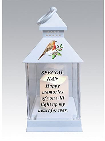 Waterproof Robin Memorial Graveside Lantern with LED Candle (Nan)