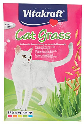 Vitakraft Cat -Gras zur Aussaat in Blumenerde 50g