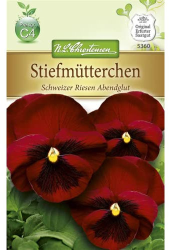 Chrestensen Stiefmütterchen 'Schweizer Riesen Abendglut'
