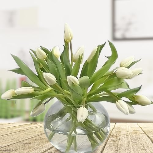 20 frische weiße Tulpen – Stilvolle, elegante Blumen inkl. Grußkarte