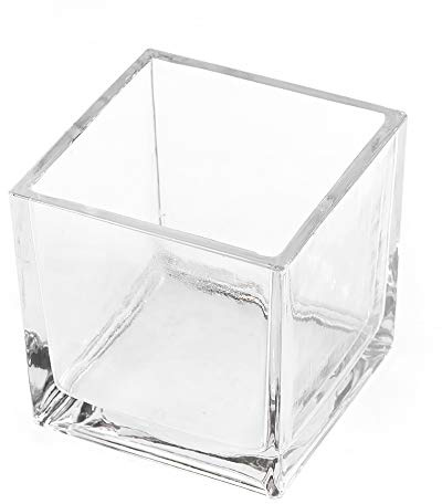 CYS Glass Cube Vase. H-4, Opening 4 x 4