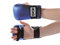Ju Jutsu Handschützer Iadro in 2 Farben (Blau, M)