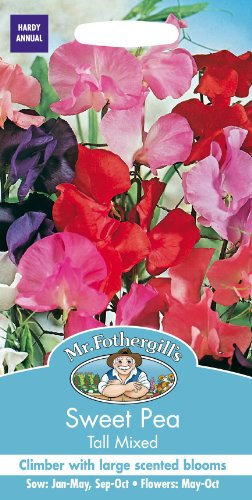 Mr Fothergills - Pictorial Packet - Flower - Sweet Pea - Tall Mixed - 40 Seeds