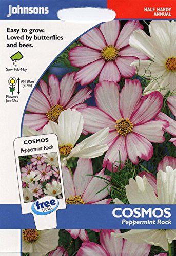 Johnsons Seeds - Pictorial Pack - Flower - Cosmos Peppermint Rock - 60 Seeds
