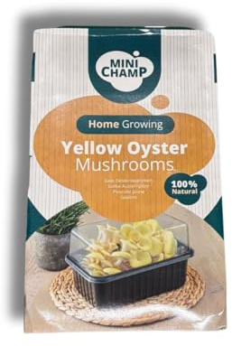 KIT COLTIVAZIONE FUNGHI 3 LT MICELIO pleurotus ostreatus giallo Lt 3 gelone GIALLINO