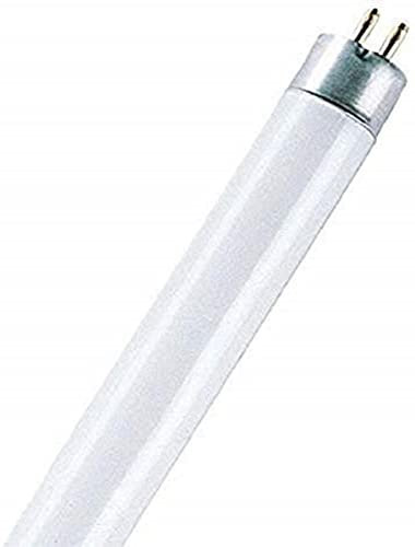 Osram Leuchtstoffröhren, Glas, 8 W, Kaltweiß 6500k, 1 Stück (1er Pack)