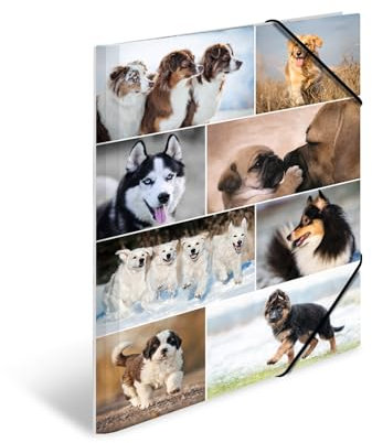 HERMA Sammelmappe A3 Hunde, Kinder Eckspanner-Mappe aus Pappe mit Tier Motiv, Gummizug, Innenklappen und Innendruck für Jungen und Mädchen