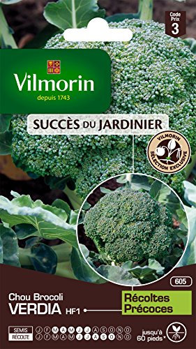 Vilmorin 3360743 Pack de Graines Chou Brocoli Verdia HF1 Création