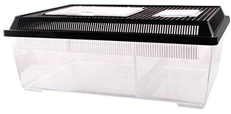 Dragon Neu PET-PLAZA Kunststoffbox - Faunarium - Kunststoffterrarium - Faunabox - Insektenbox - Insektenterrarium - Box für Futterinsekten (46 x 30,5 x 17cm)