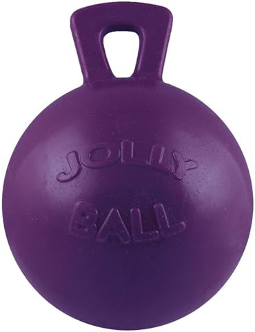 Jolly Pets - Hundespielzeug Tug-N-Toss (6) (Violett)