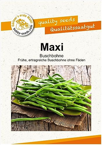 Bohnensamen Maxi fadenlose Buschbohne Portion