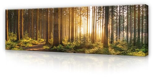 WallArena Leinwand Bilder 145x45 cm | Wald Grün Natur Landschaft, Leinwandbilder, Bild auf leinwand, Format: 145x45 cm (BxH) - einteilig auf Canvas
